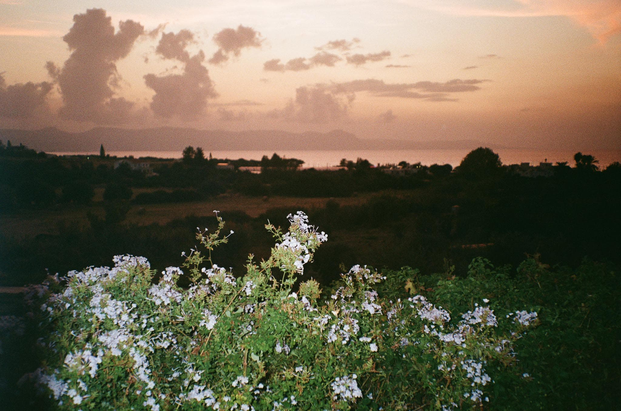 Cyprus photograph