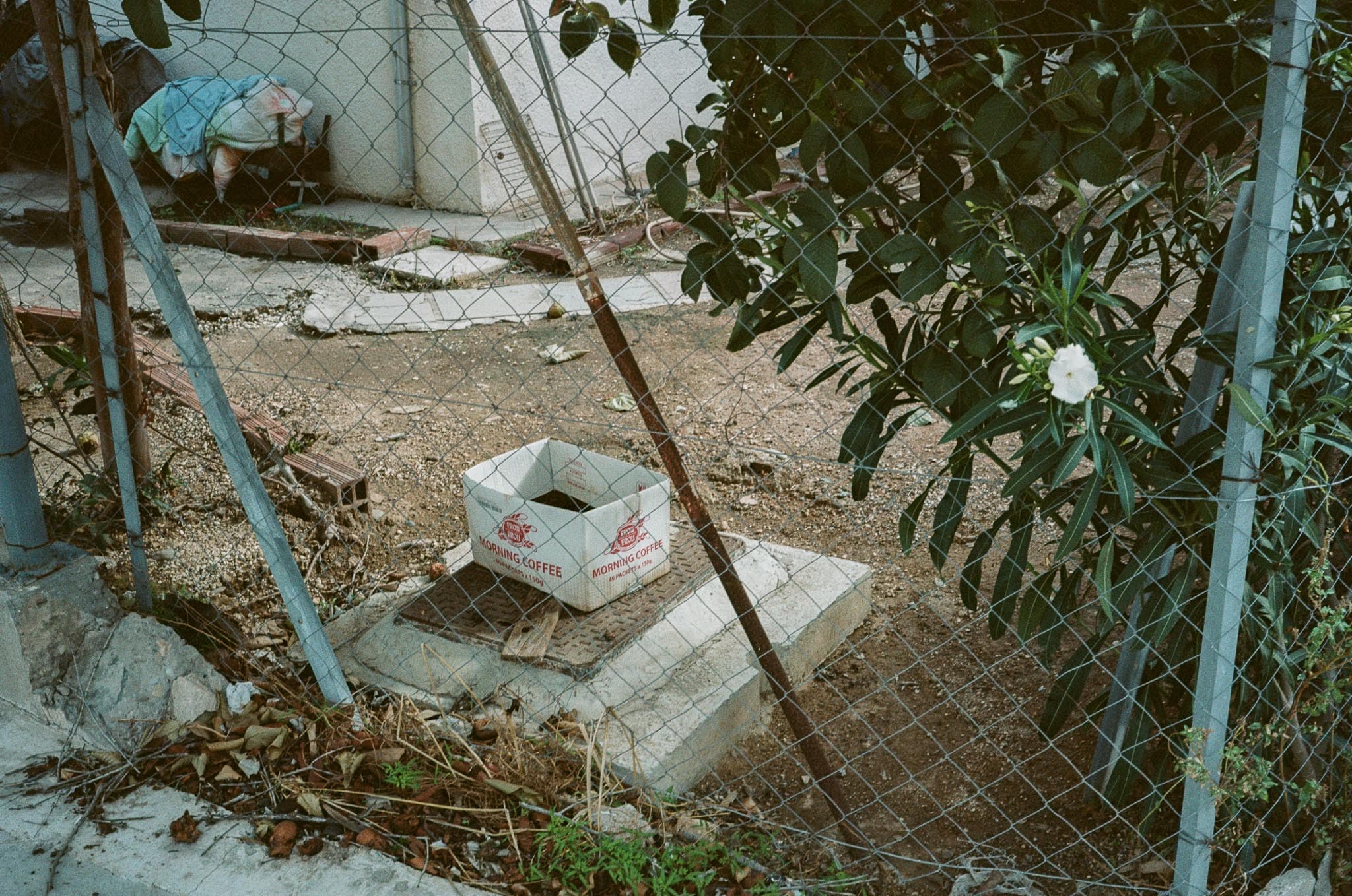 Cyprus photograph