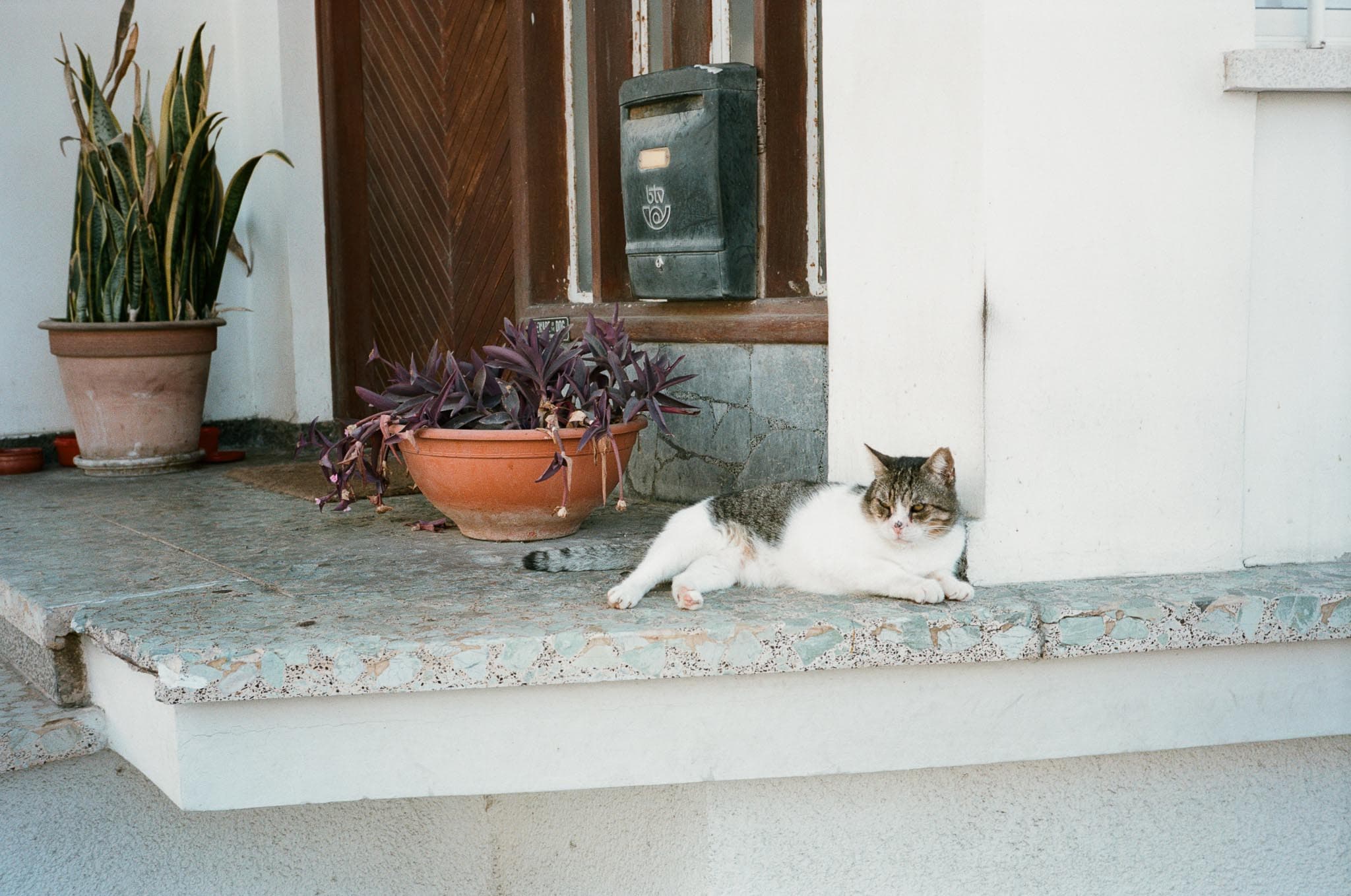 Cyprus photograph