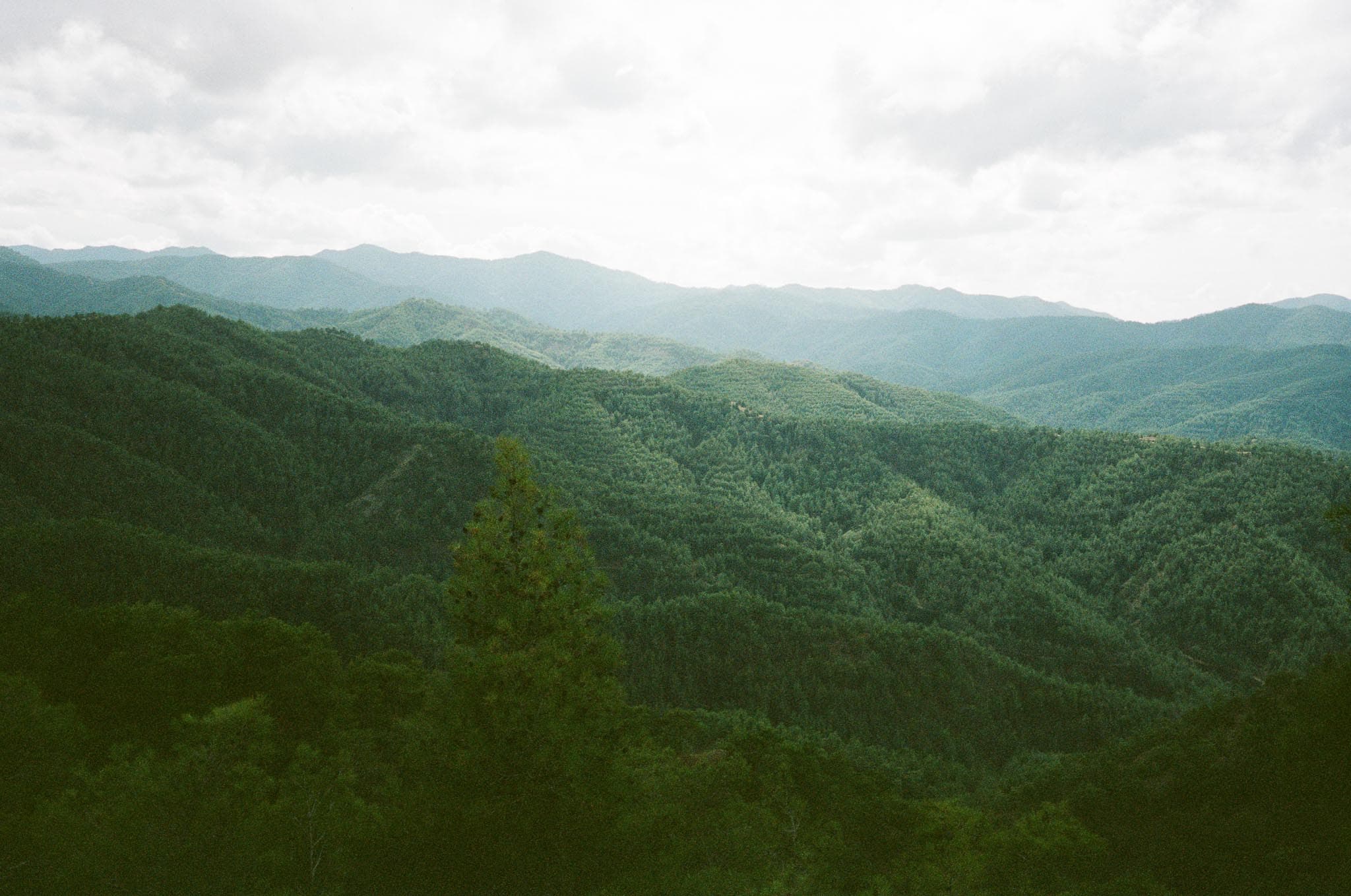 Cyprus photograph