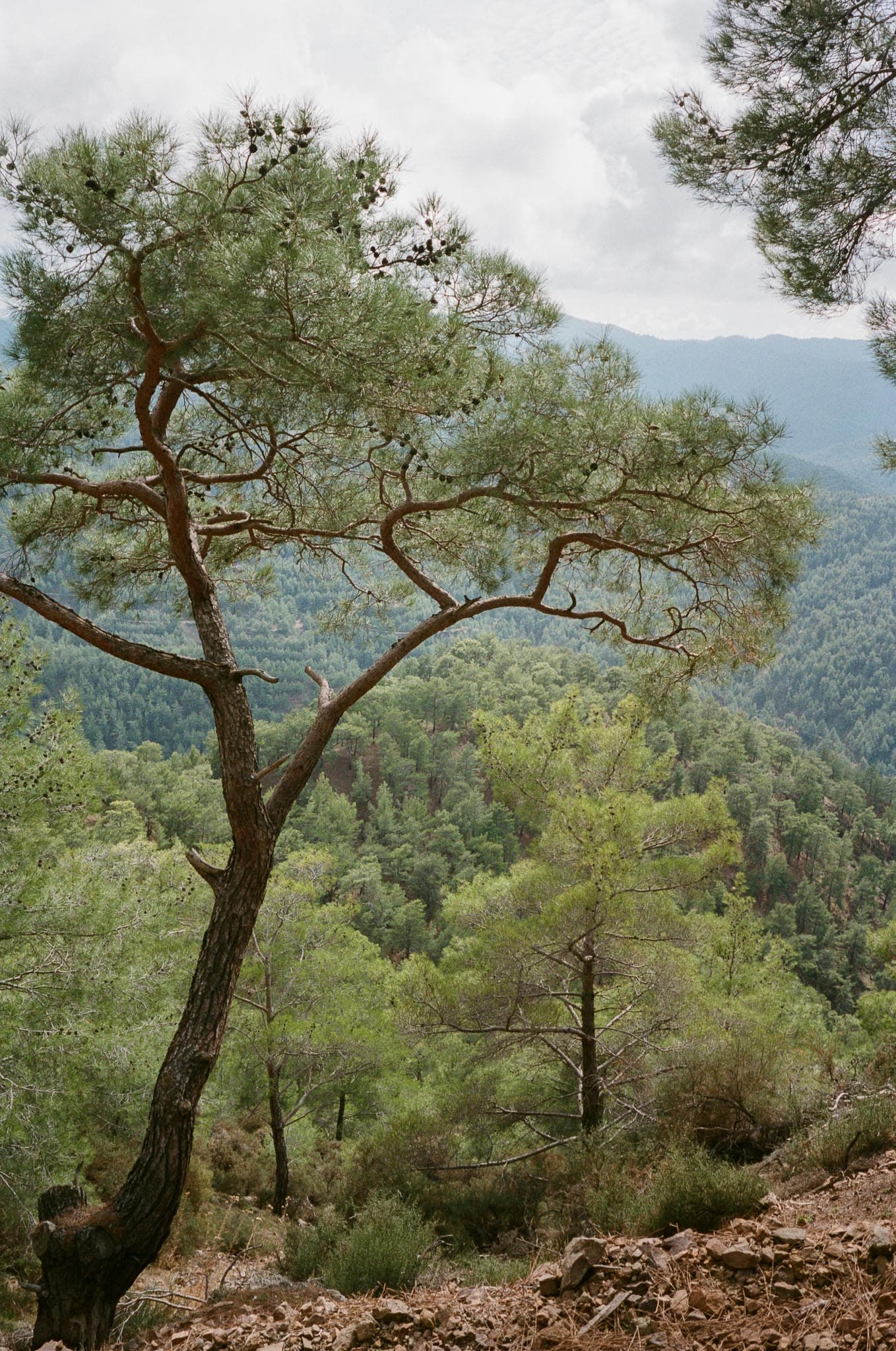 Cyprus photograph