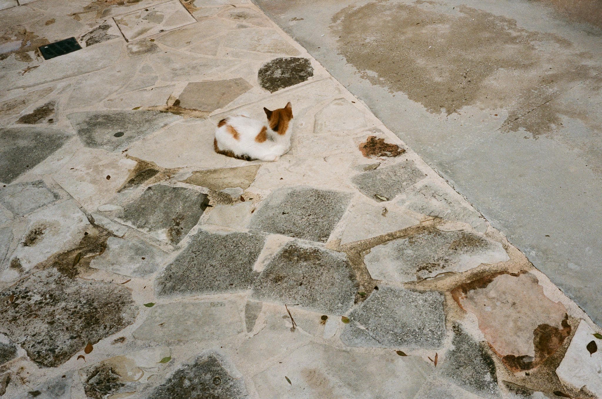 Cyprus photograph