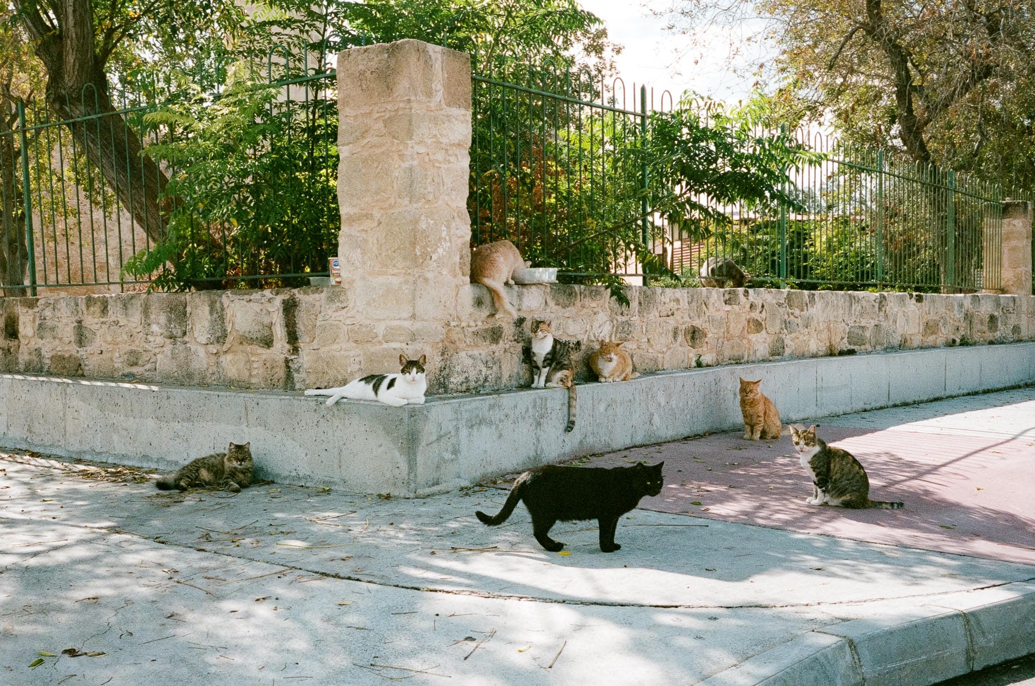 Cyprus photograph