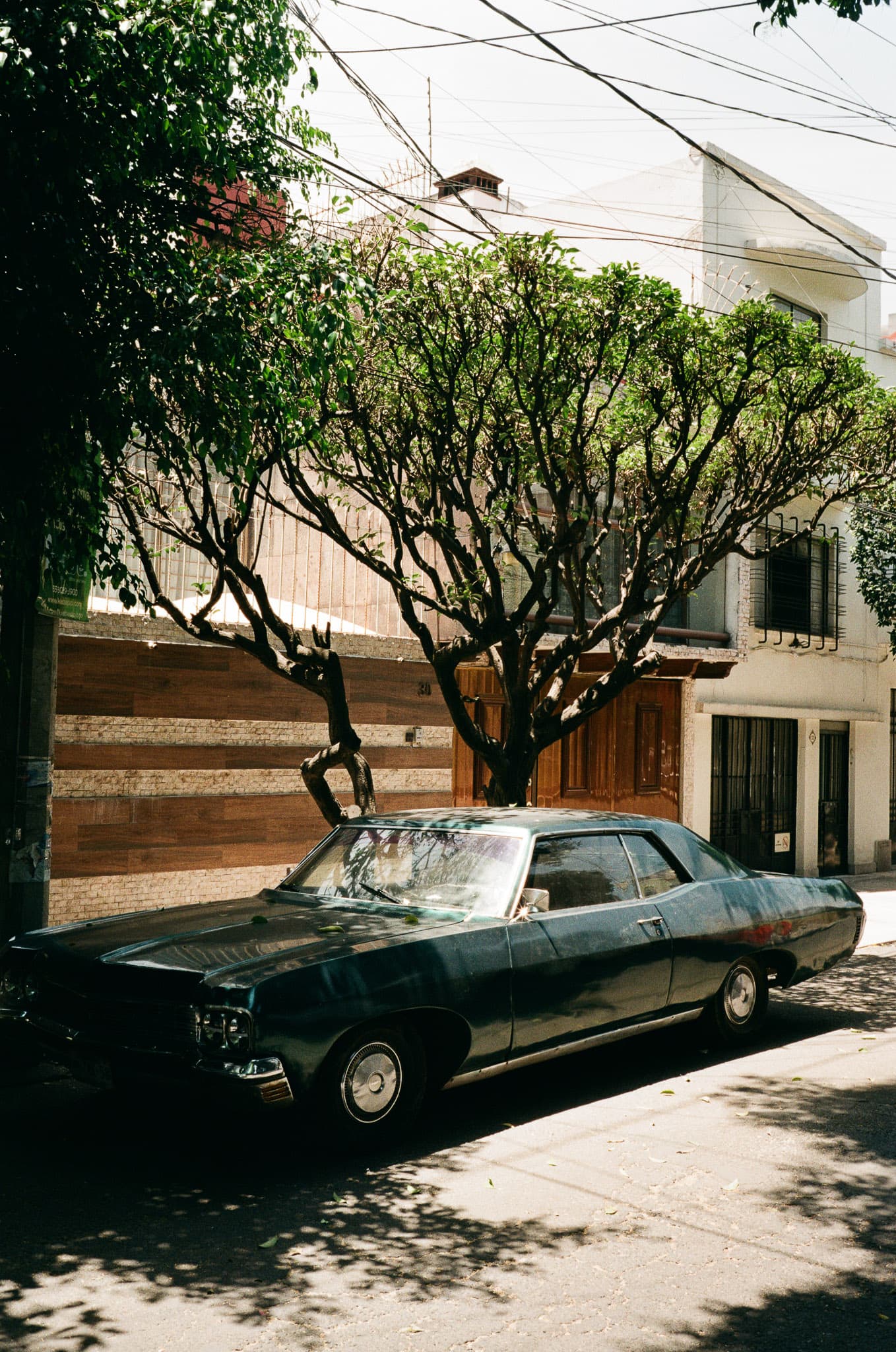 Mexico City photograph