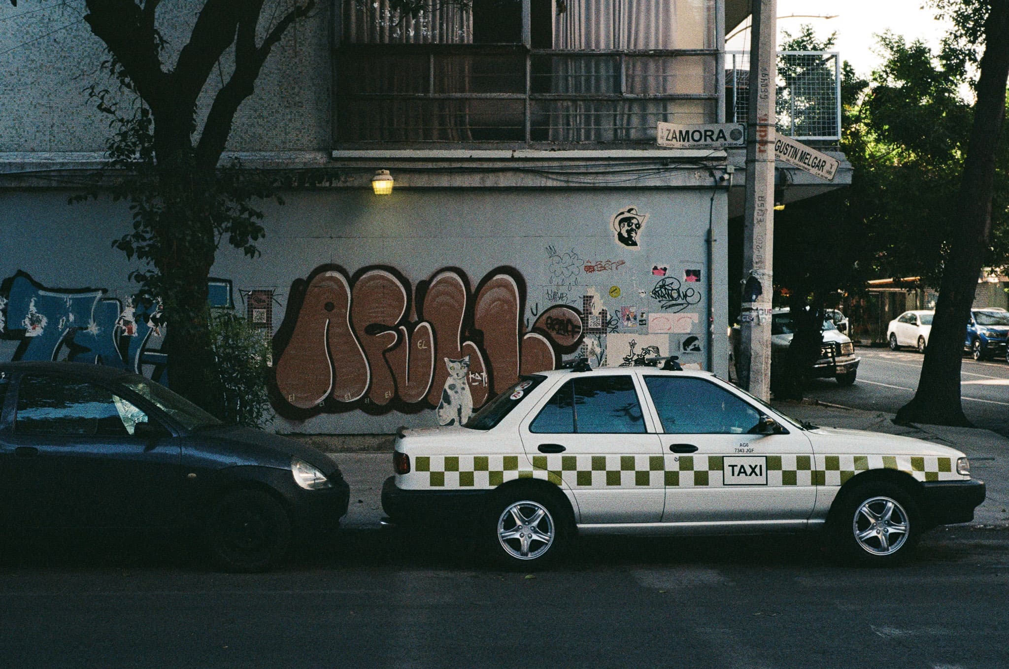 Mexico City photograph