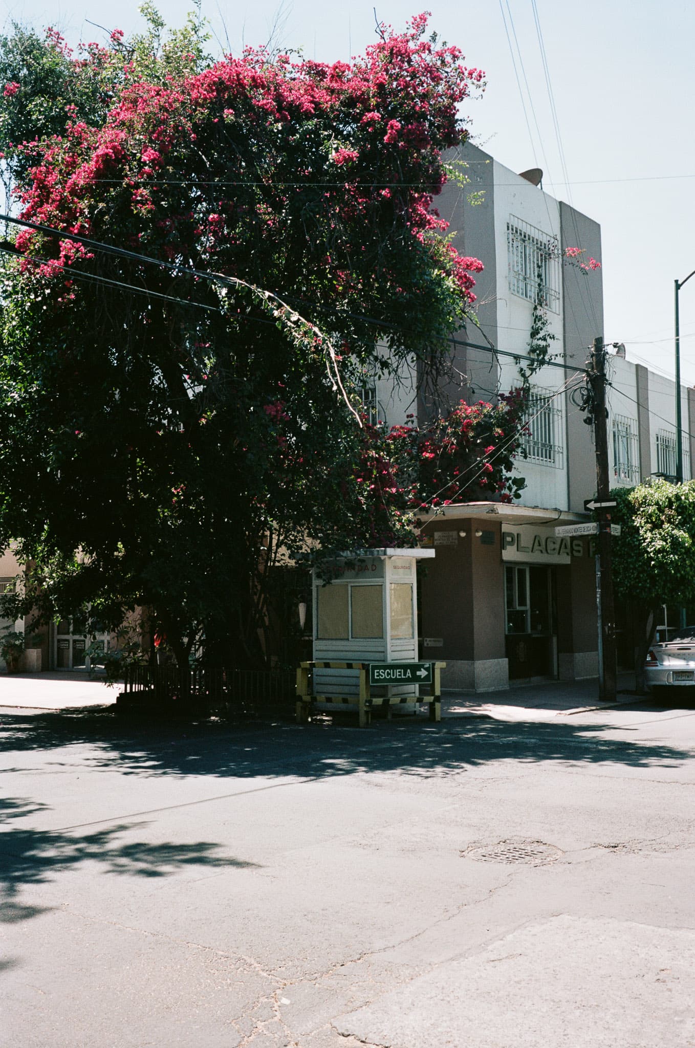 Mexico City photograph