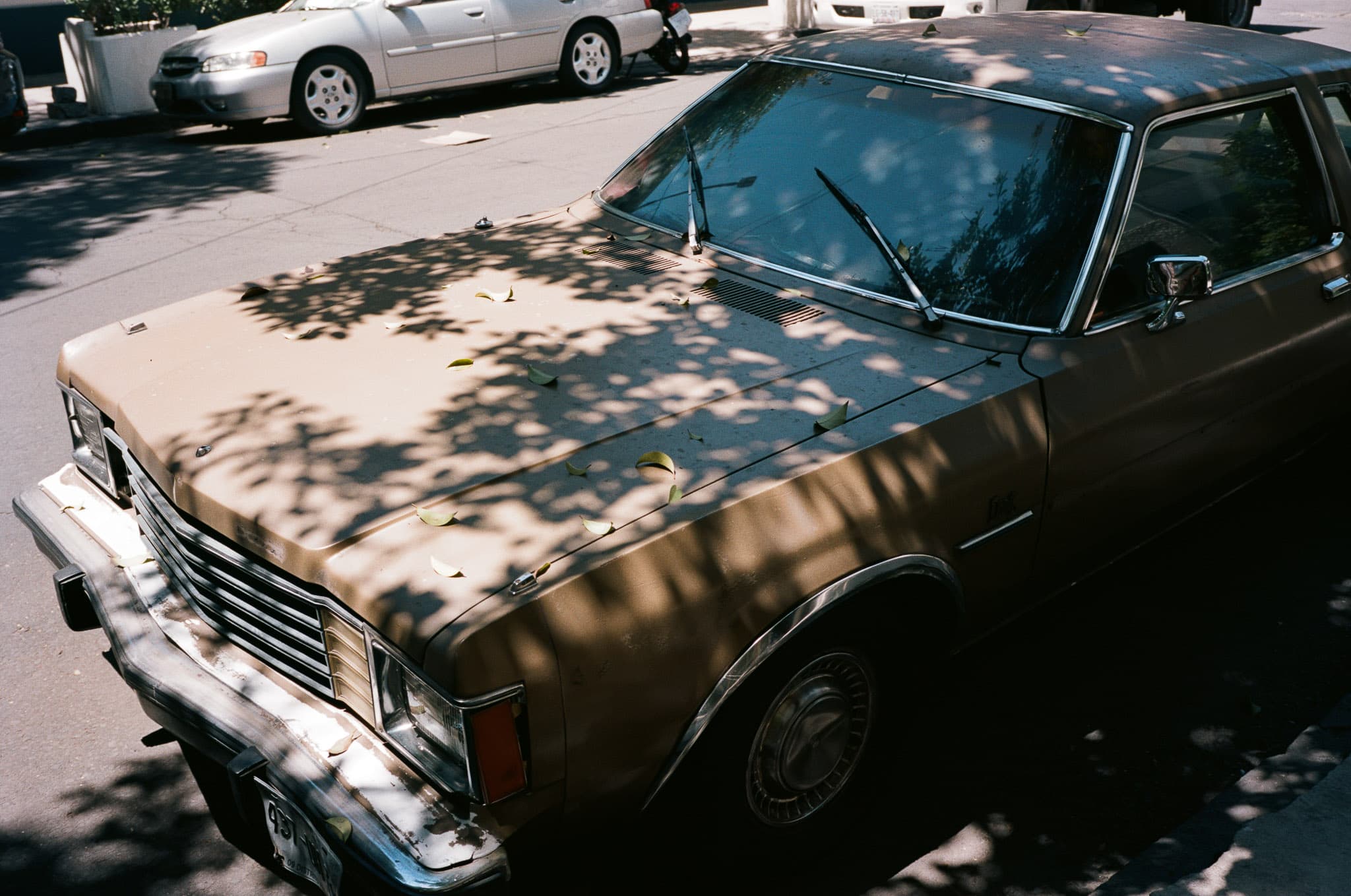 Mexico City photograph