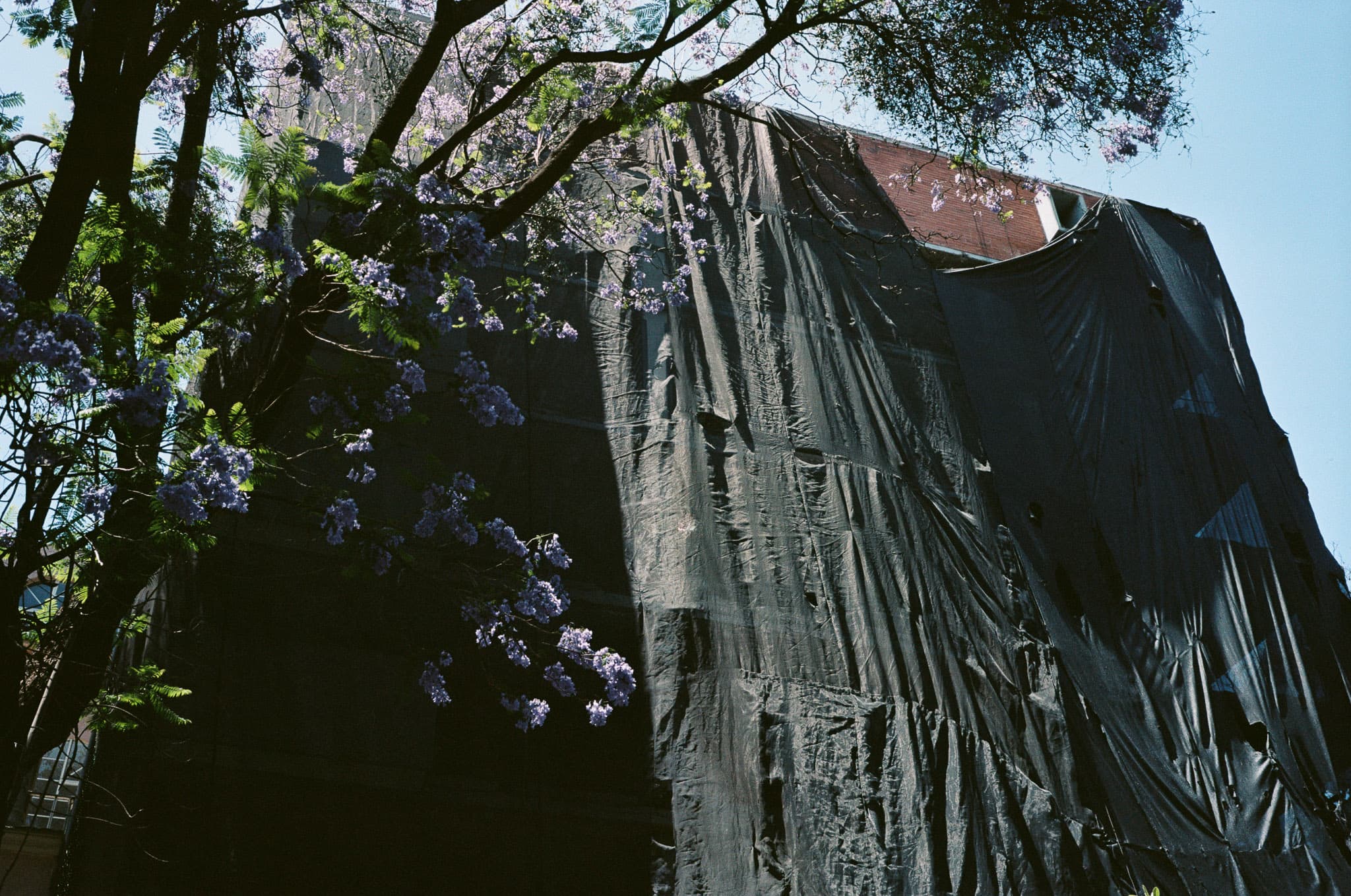 Mexico City photograph
