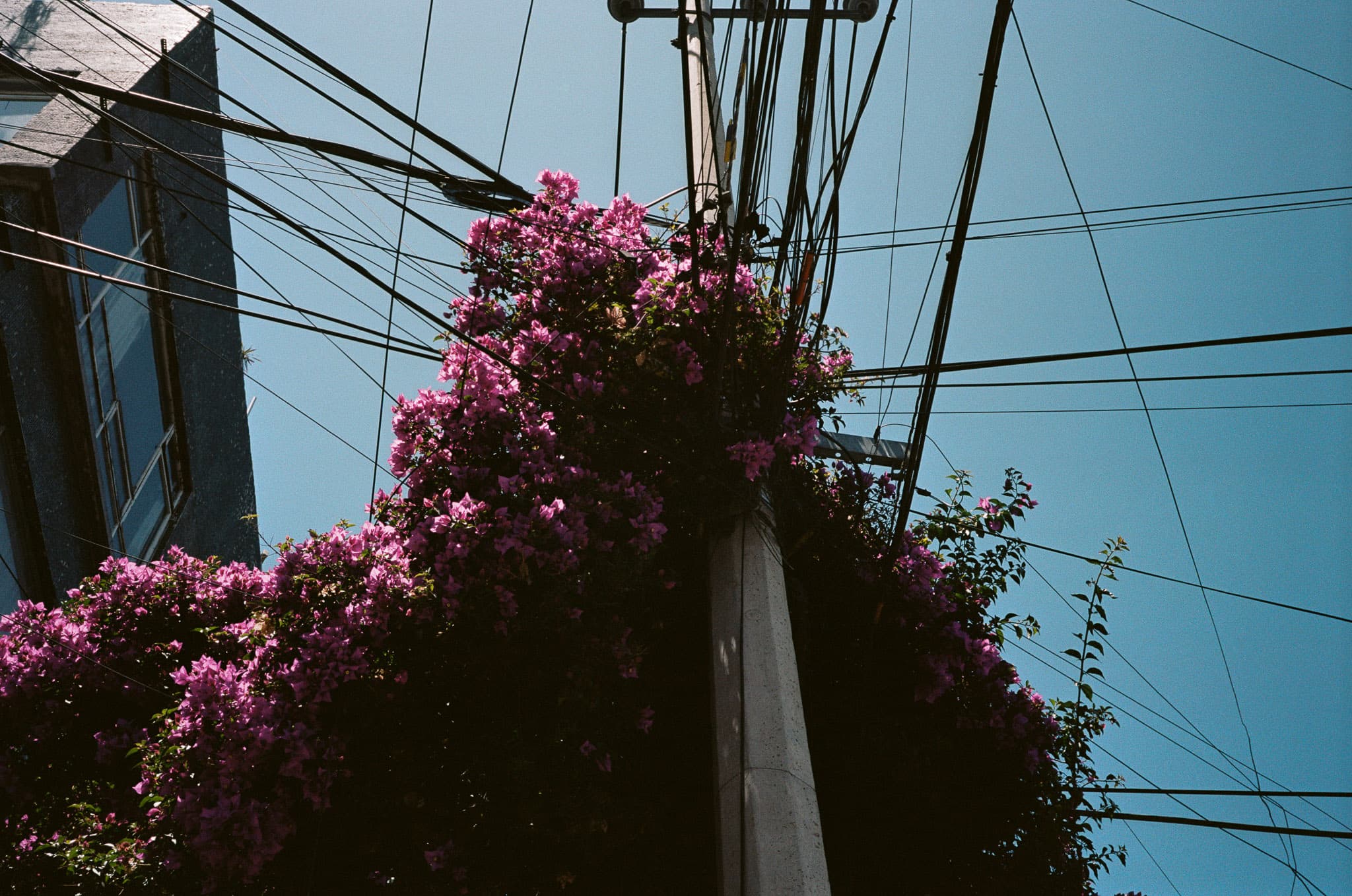 Mexico City photograph