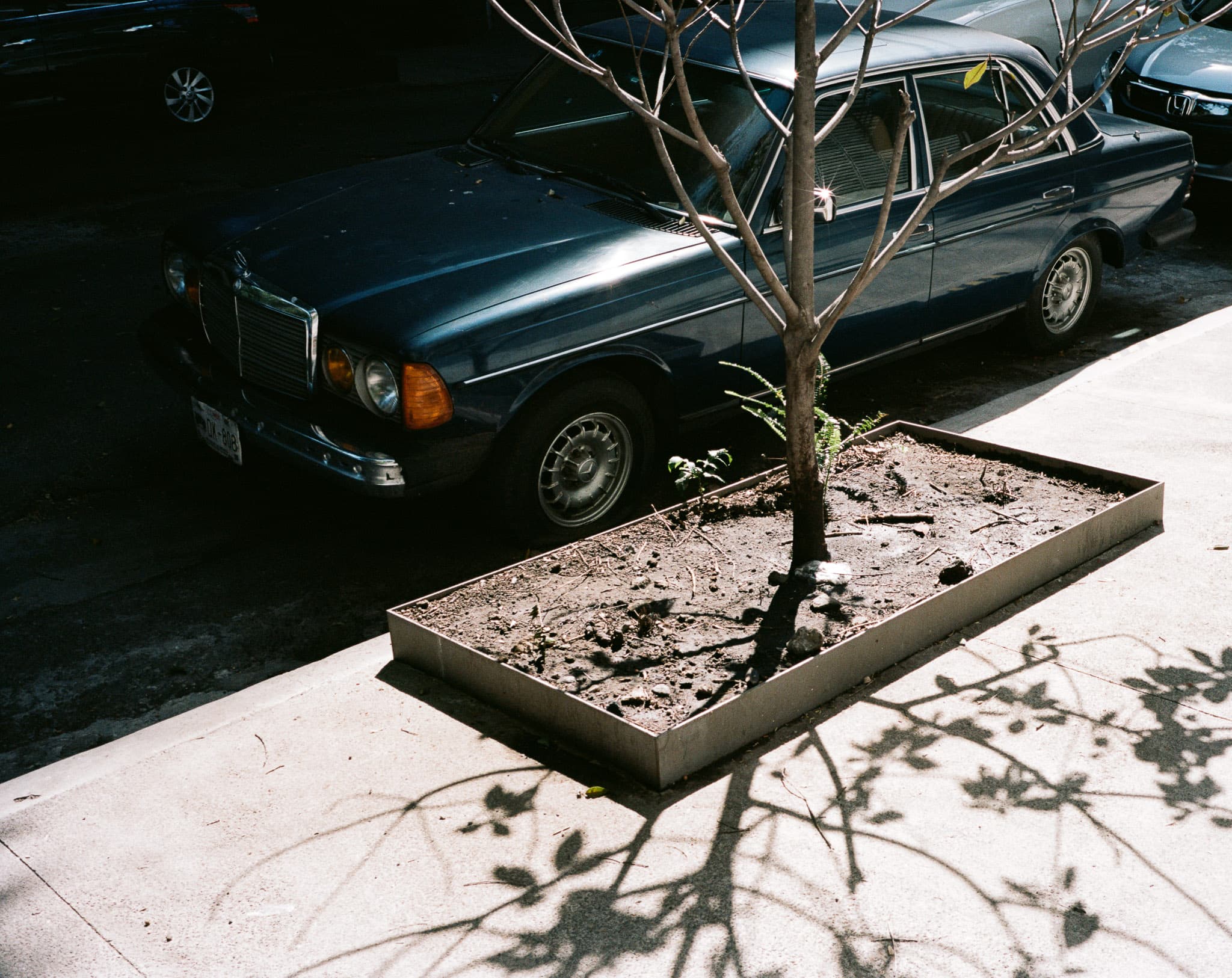Mexico City photograph