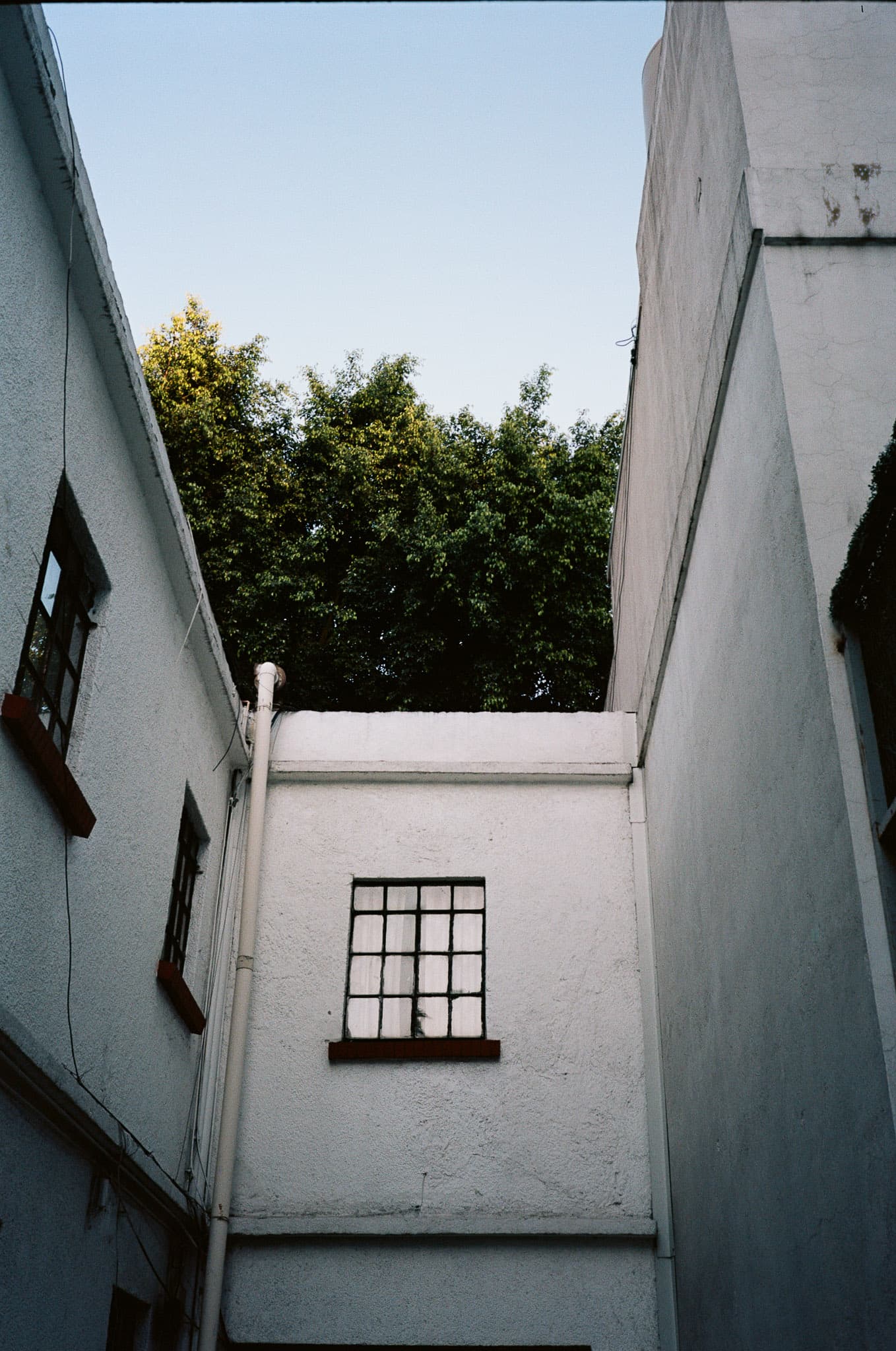 Mexico City photograph