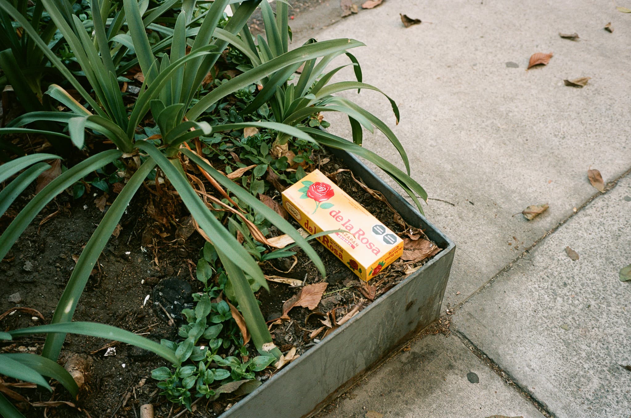 Mexico City photograph