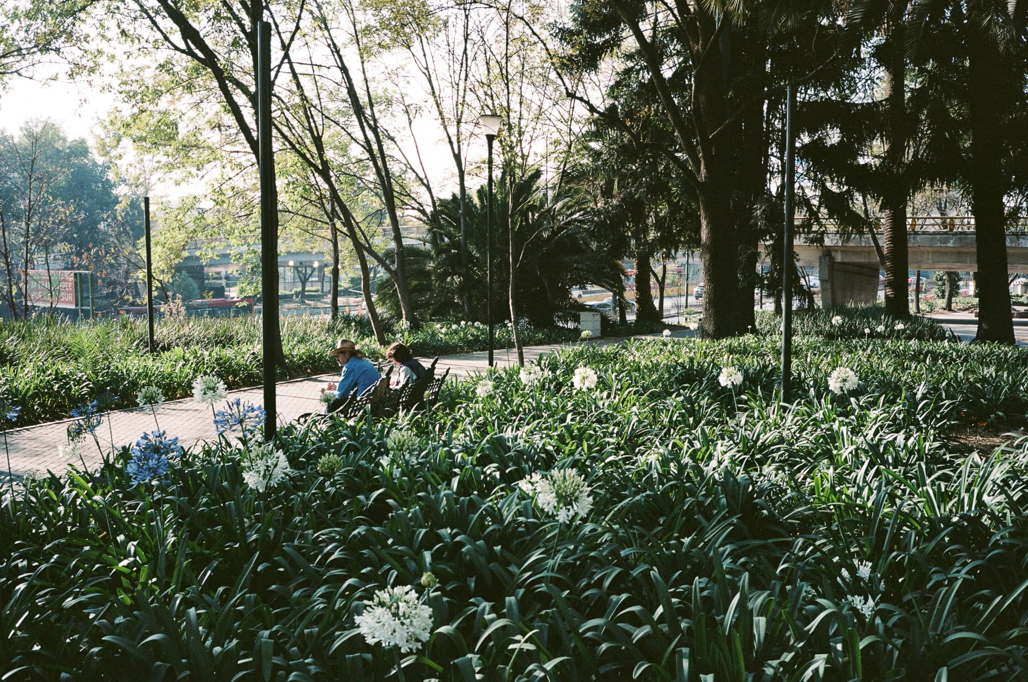 Mexico City photograph