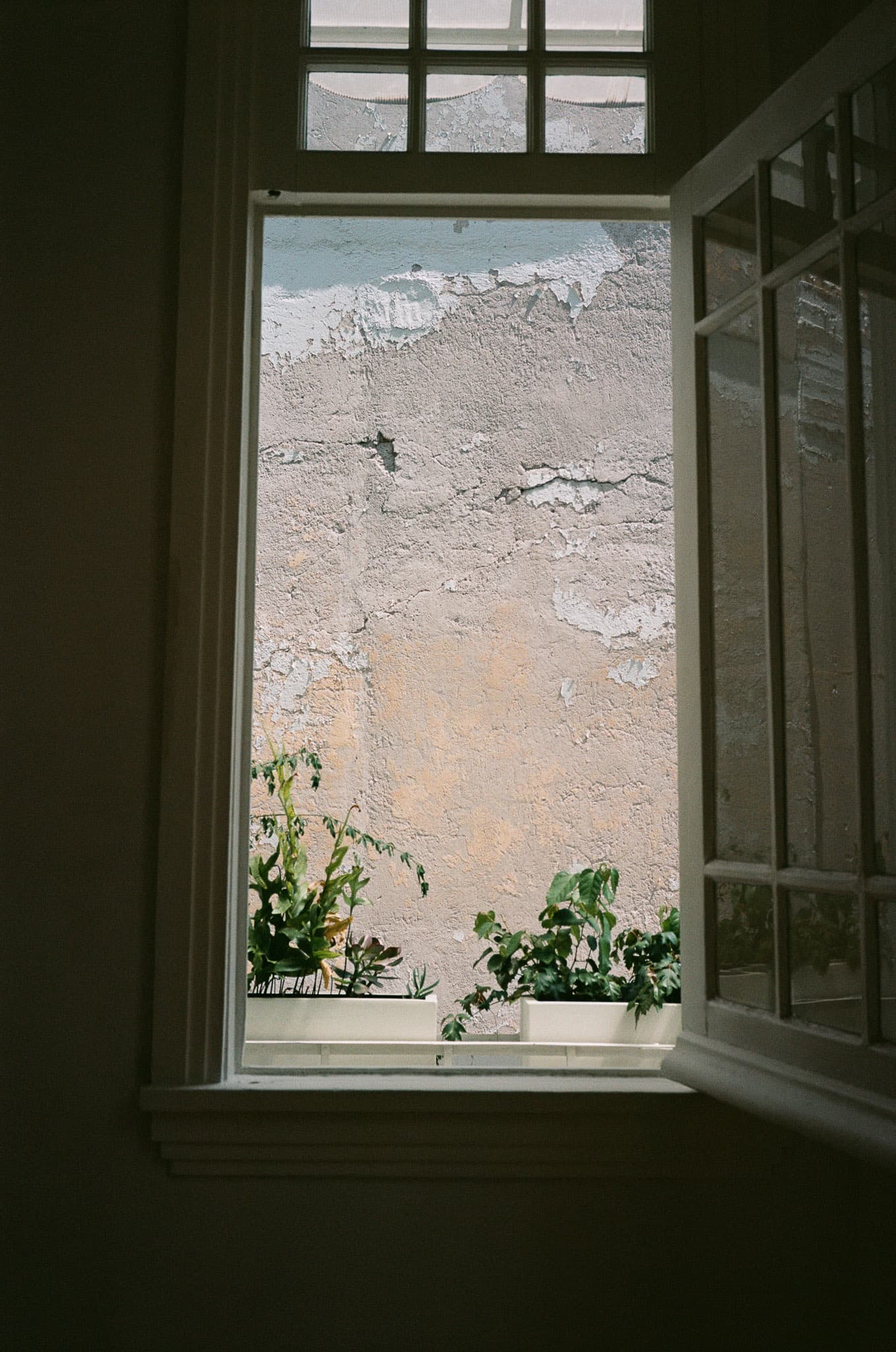 Mexico City photograph