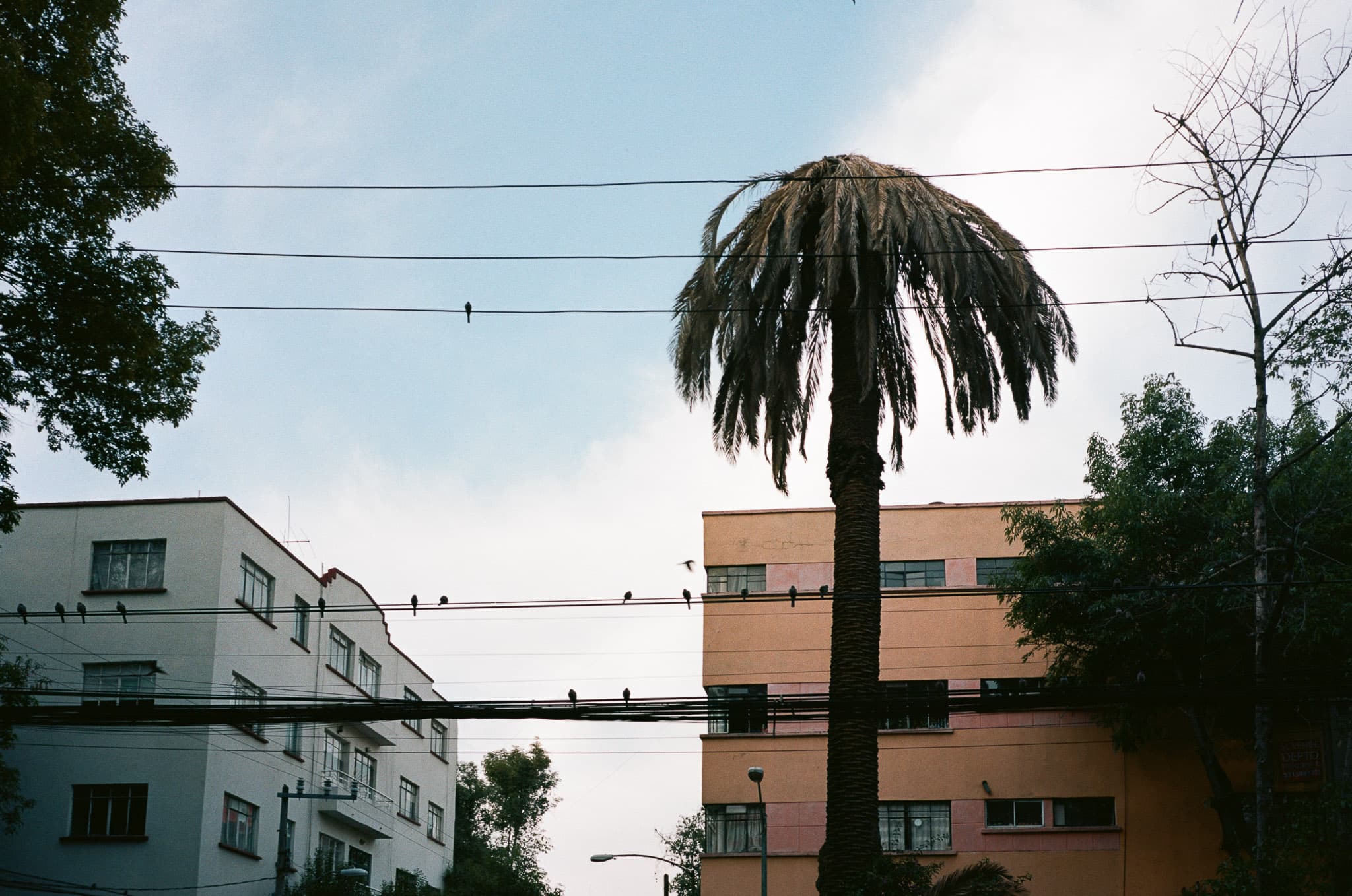 Mexico City photograph