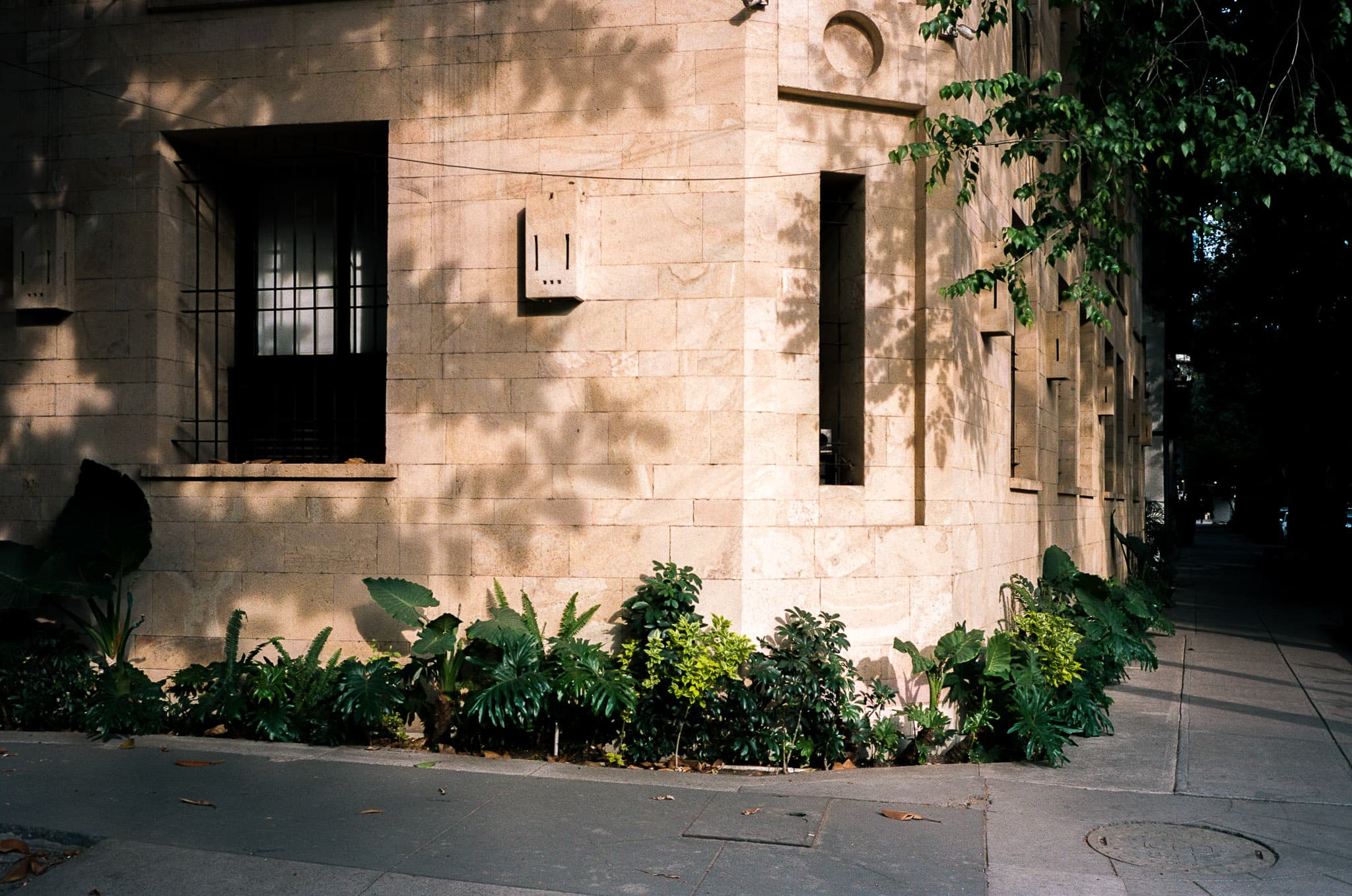 Mexico City photograph