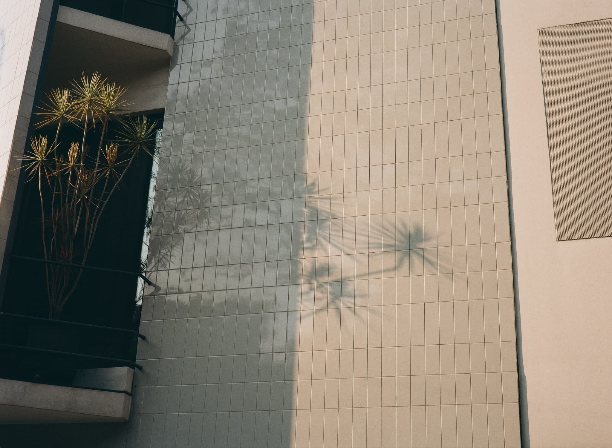Mexico City photograph