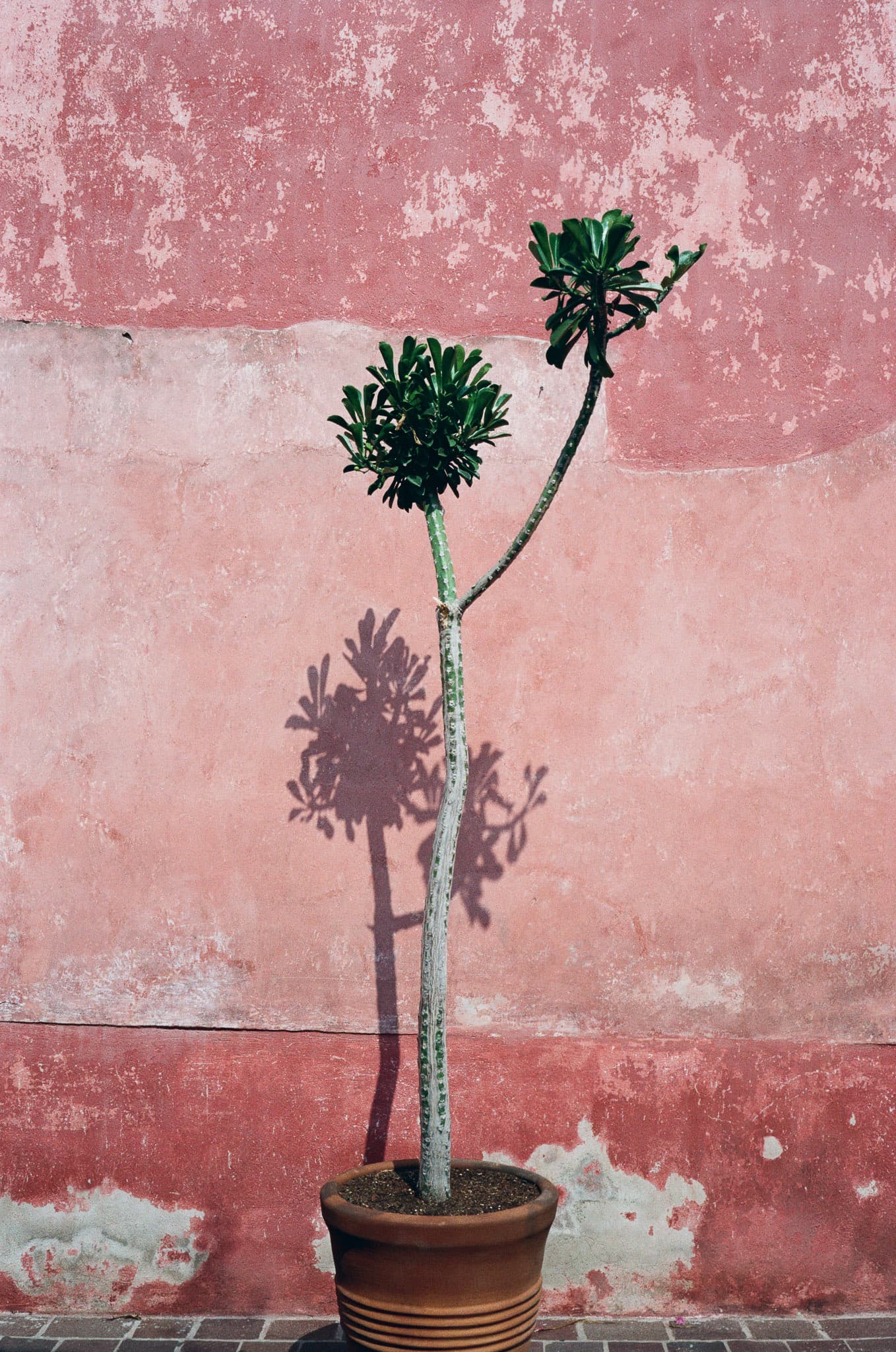 Mexico City photograph
