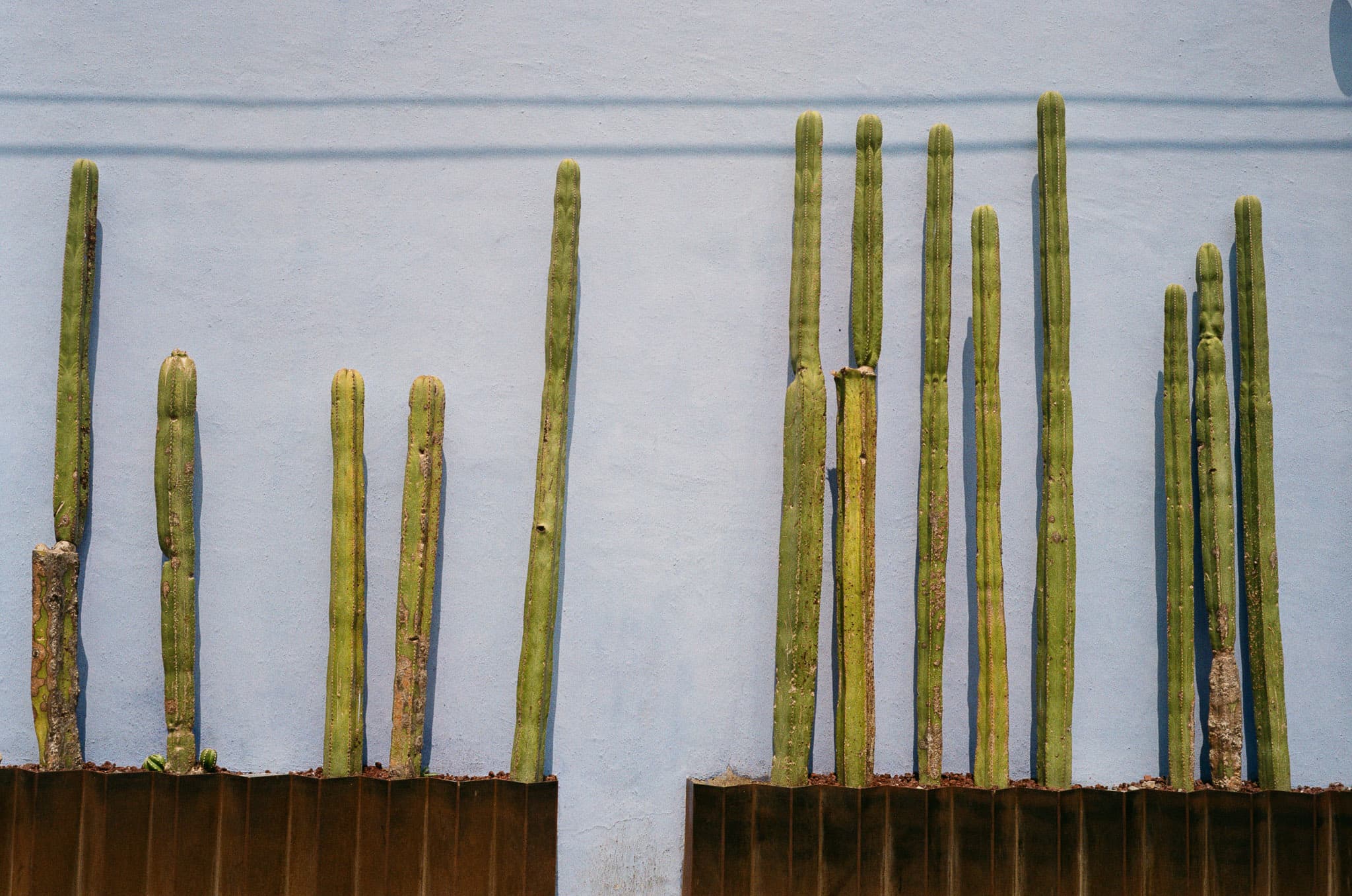 Mexico City photograph