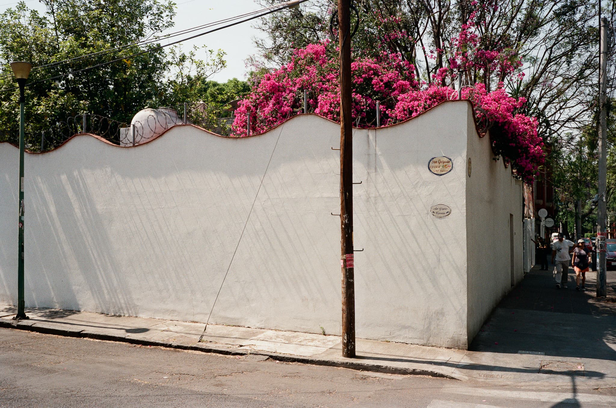 Mexico City photograph