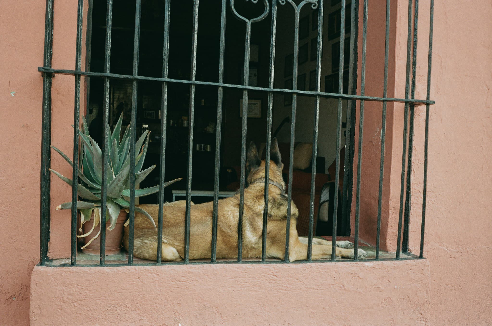 Mexico City photograph