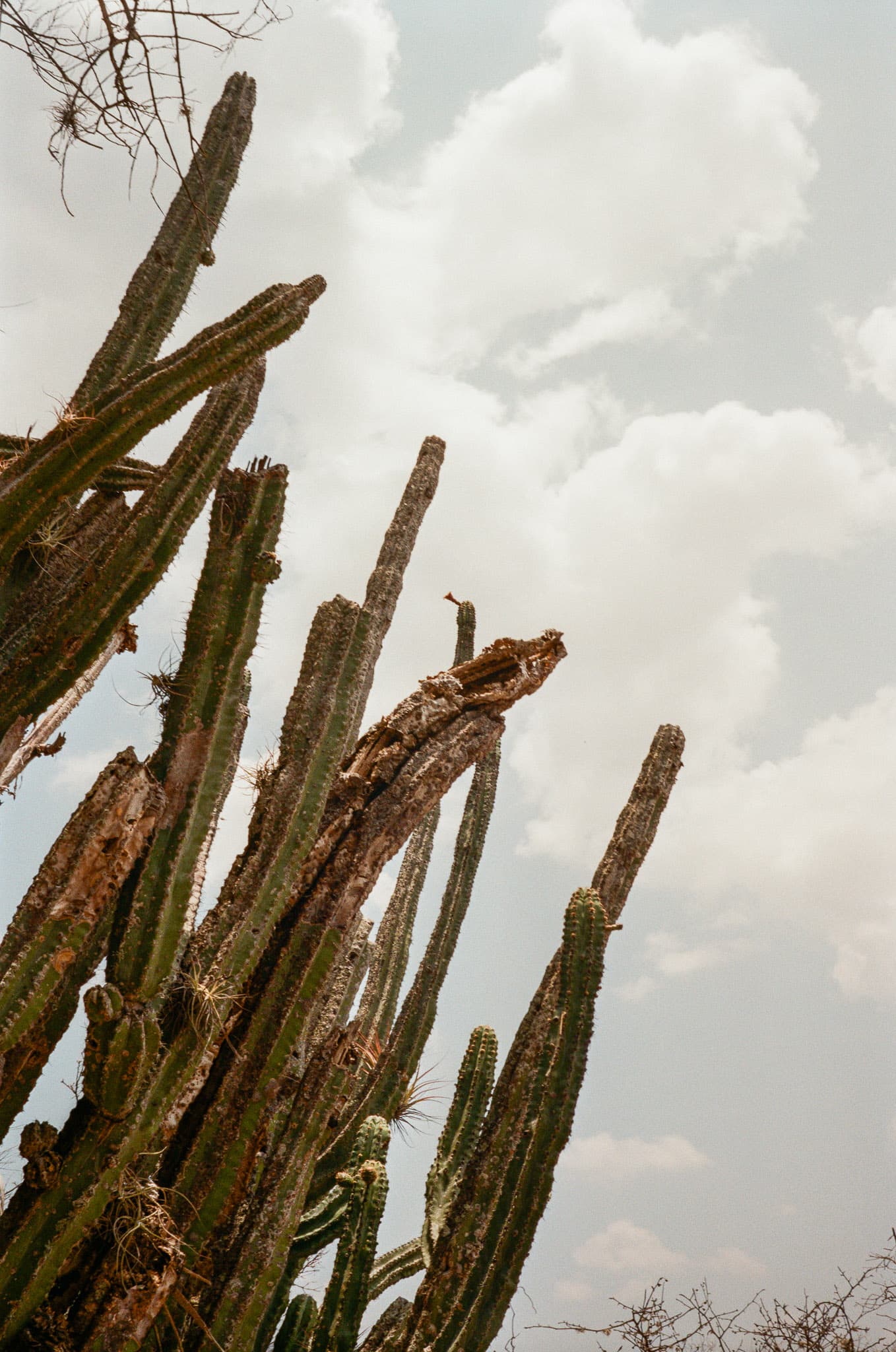 Mexico City photograph