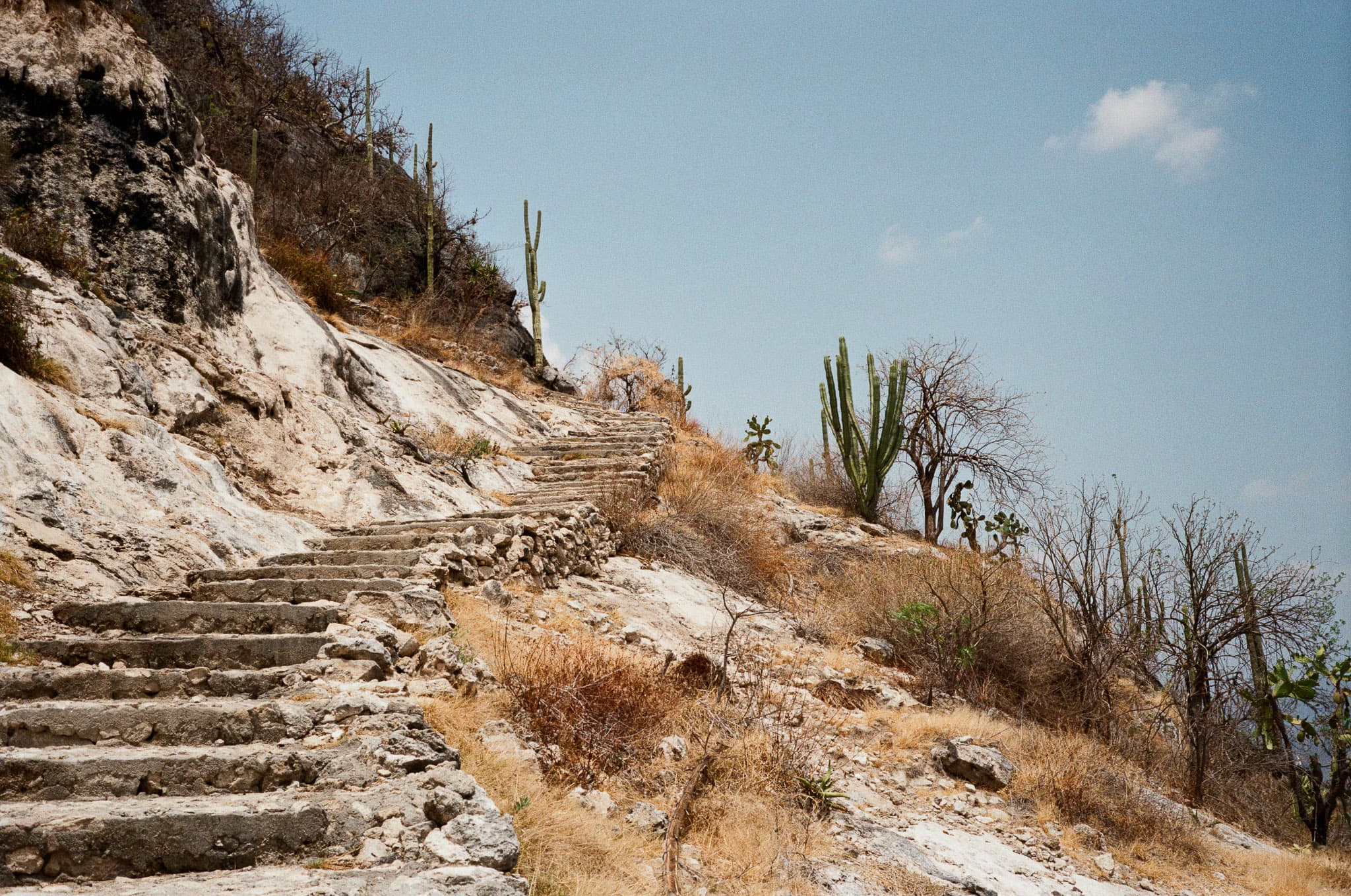 Mexico City photograph