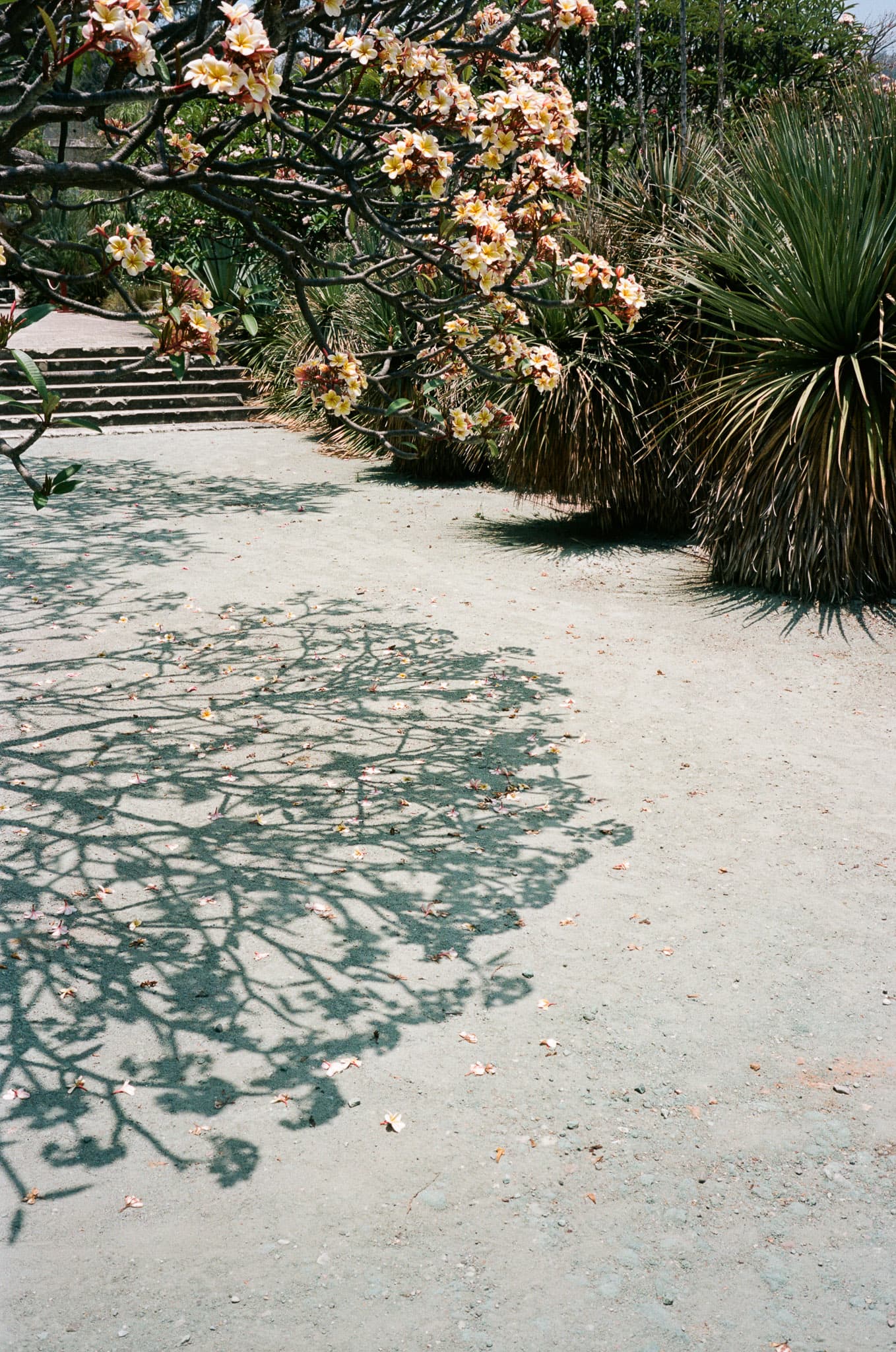 Mexico City photograph