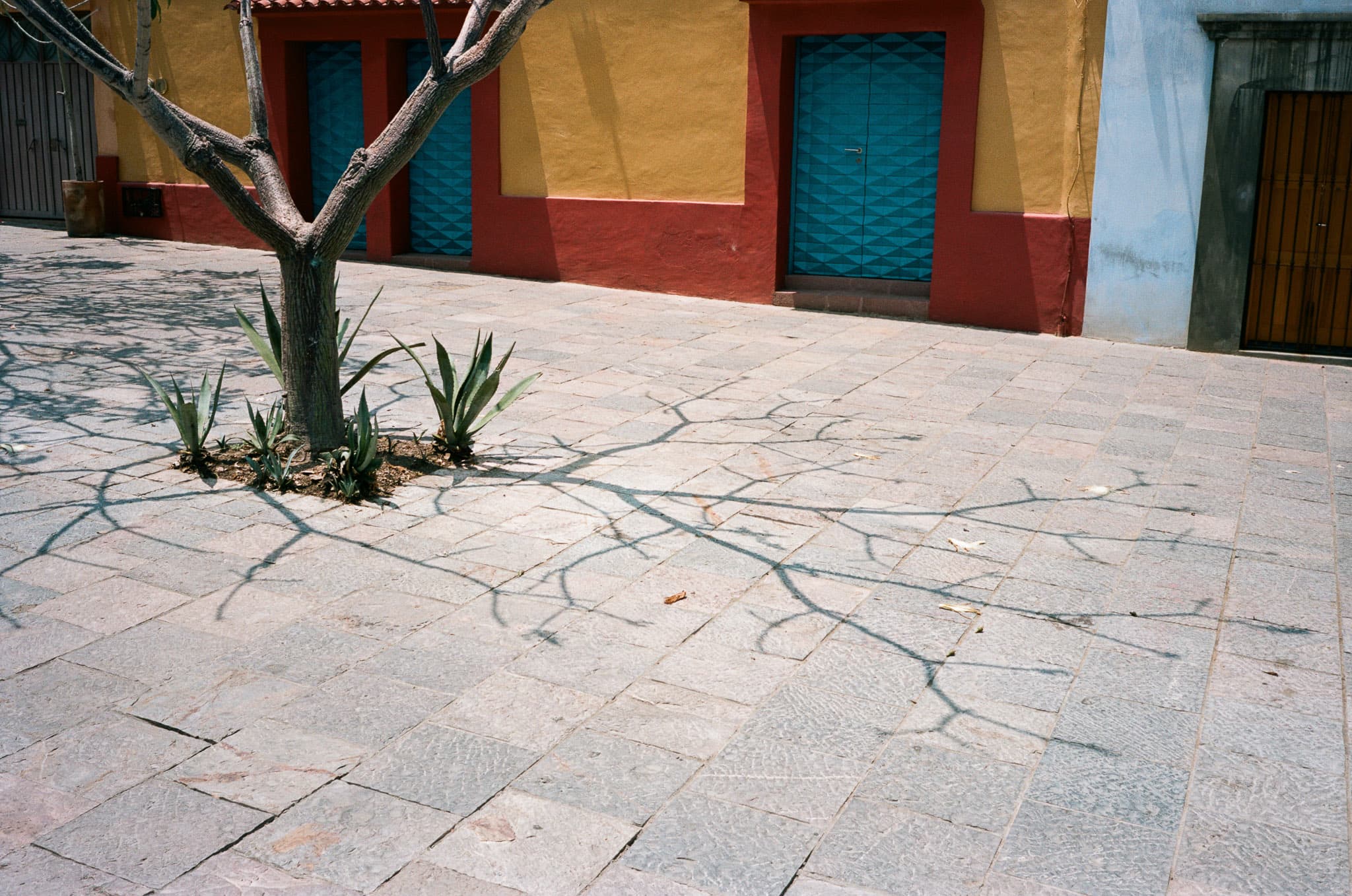 Mexico City photograph