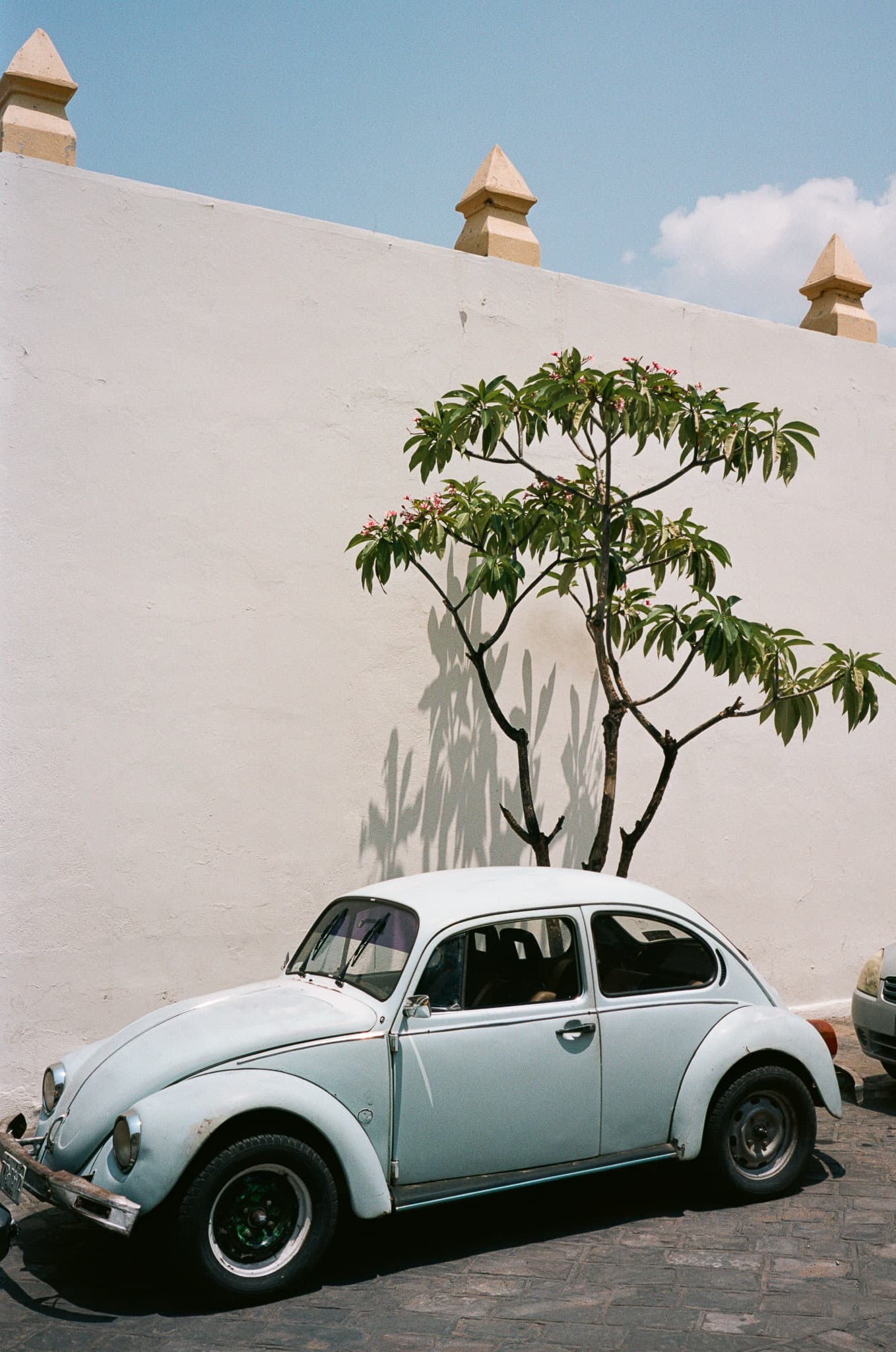Mexico City photograph