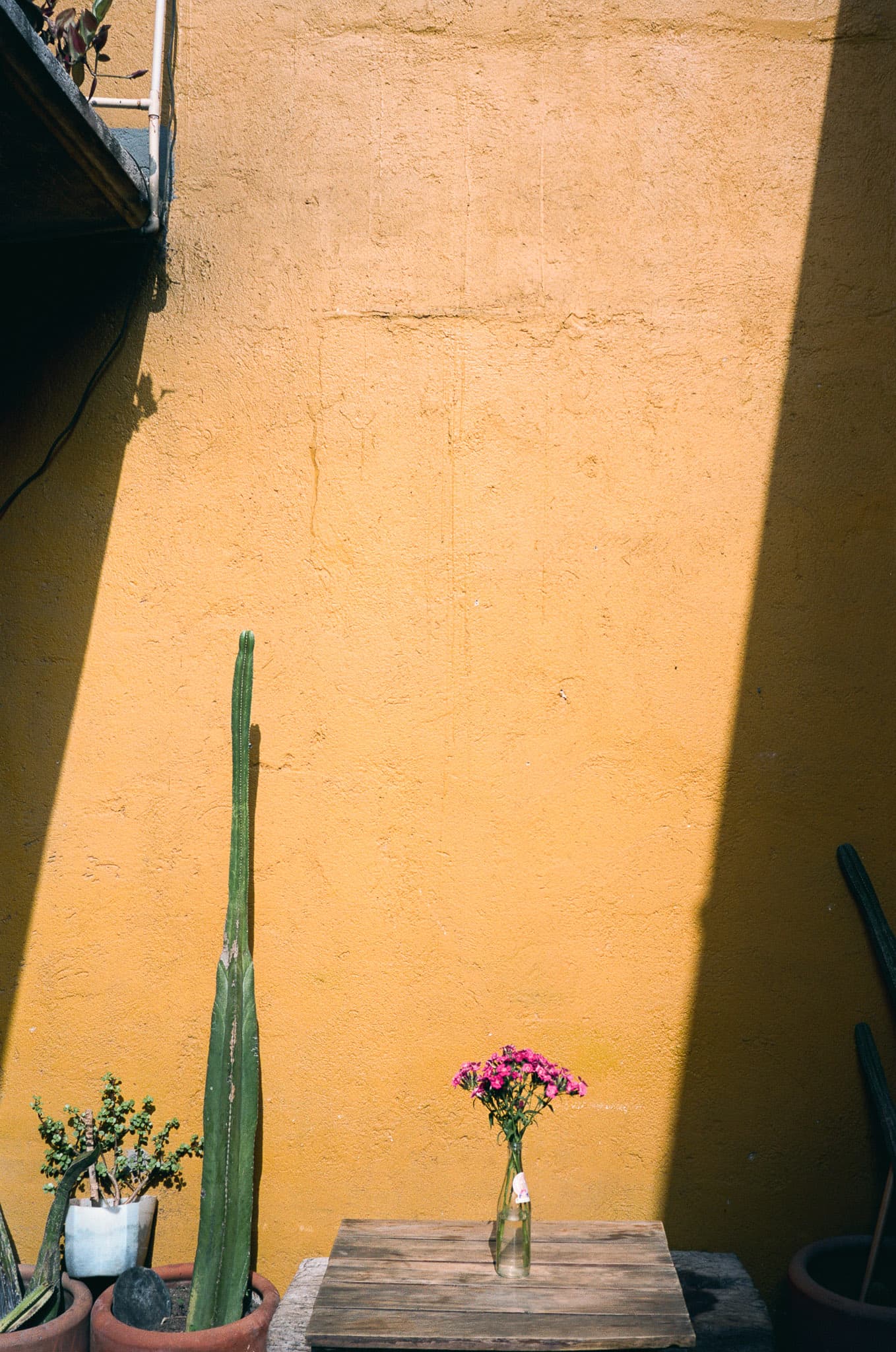 Mexico City photograph